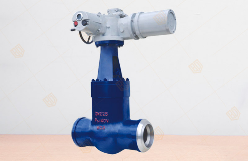 Power Station Gate Valve