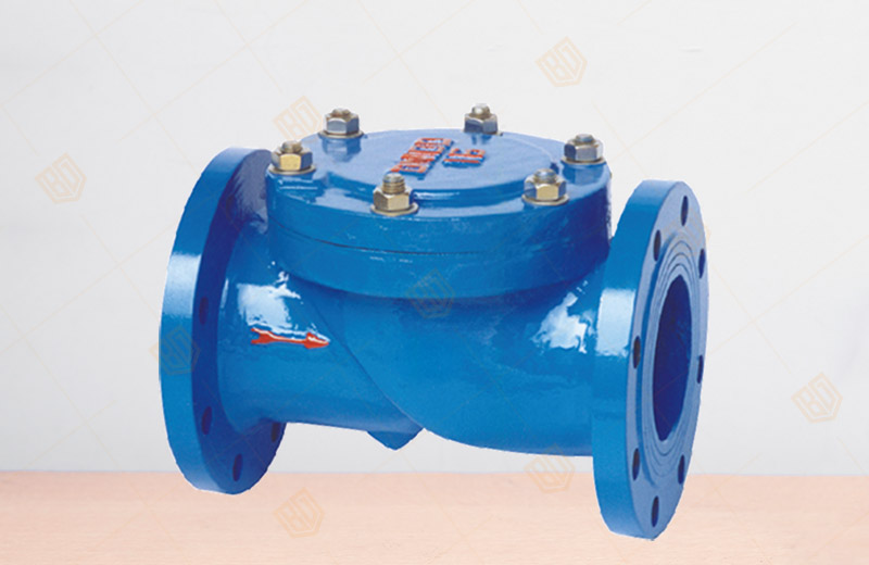 Rubber Disc Check Valve