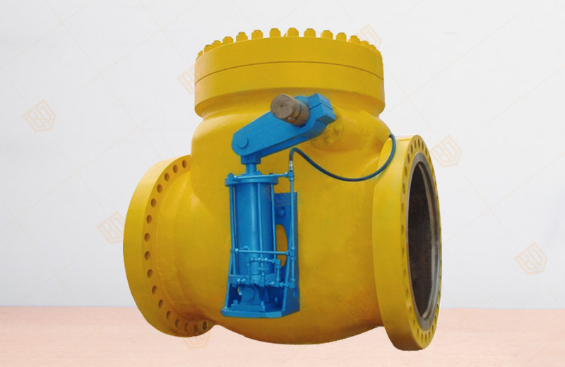 Swing Check Valve